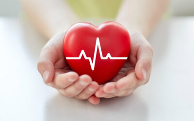 Top 10 foods that should be eaten daily for the health of the heart health of the heart Hands holding a red heart with a white ECG heartbeat line, symbolizing heart health and care