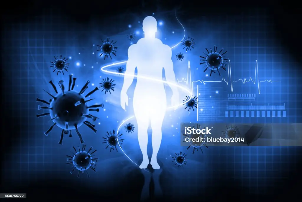 The Immune System: How It Works and How You Can Support It