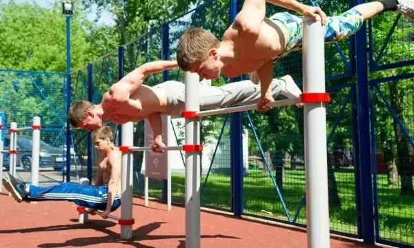 Workout: The Smart Way to Build Strength Faster and Transform Your Body With Science